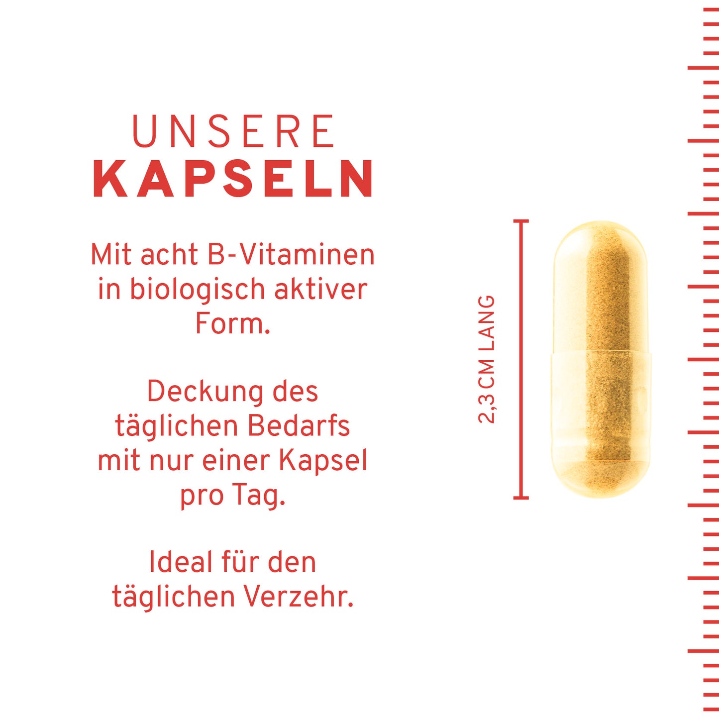 Natürliche Vitamin B Komplex Kapseln