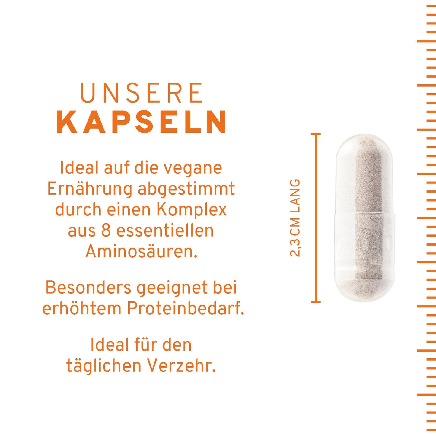 Aminosäuren Komplex Kapseln