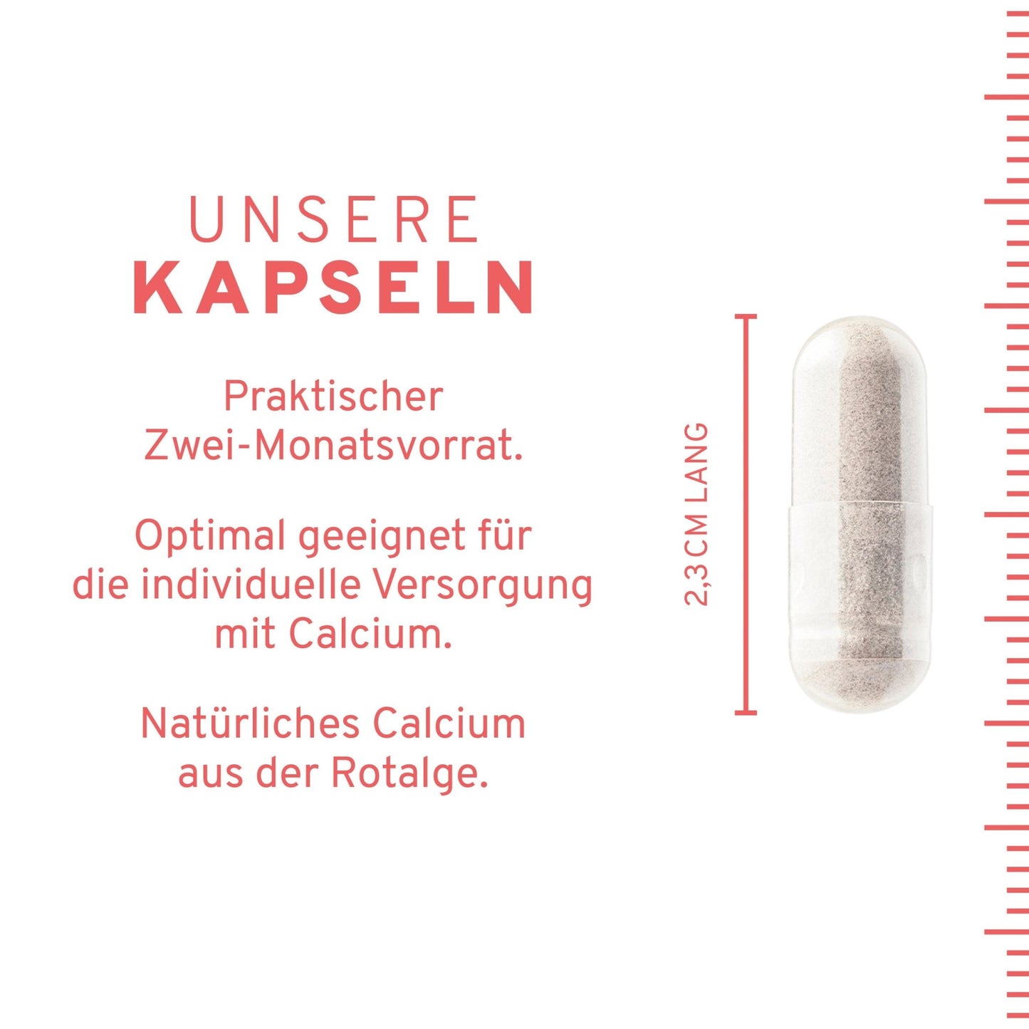 Calcium Kapseln: Natürliches Calcium aus der Rotalge