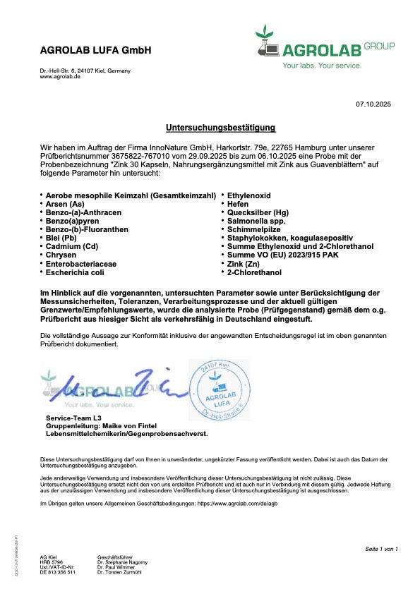 Zink Kapseln 1-Monatsvorrat