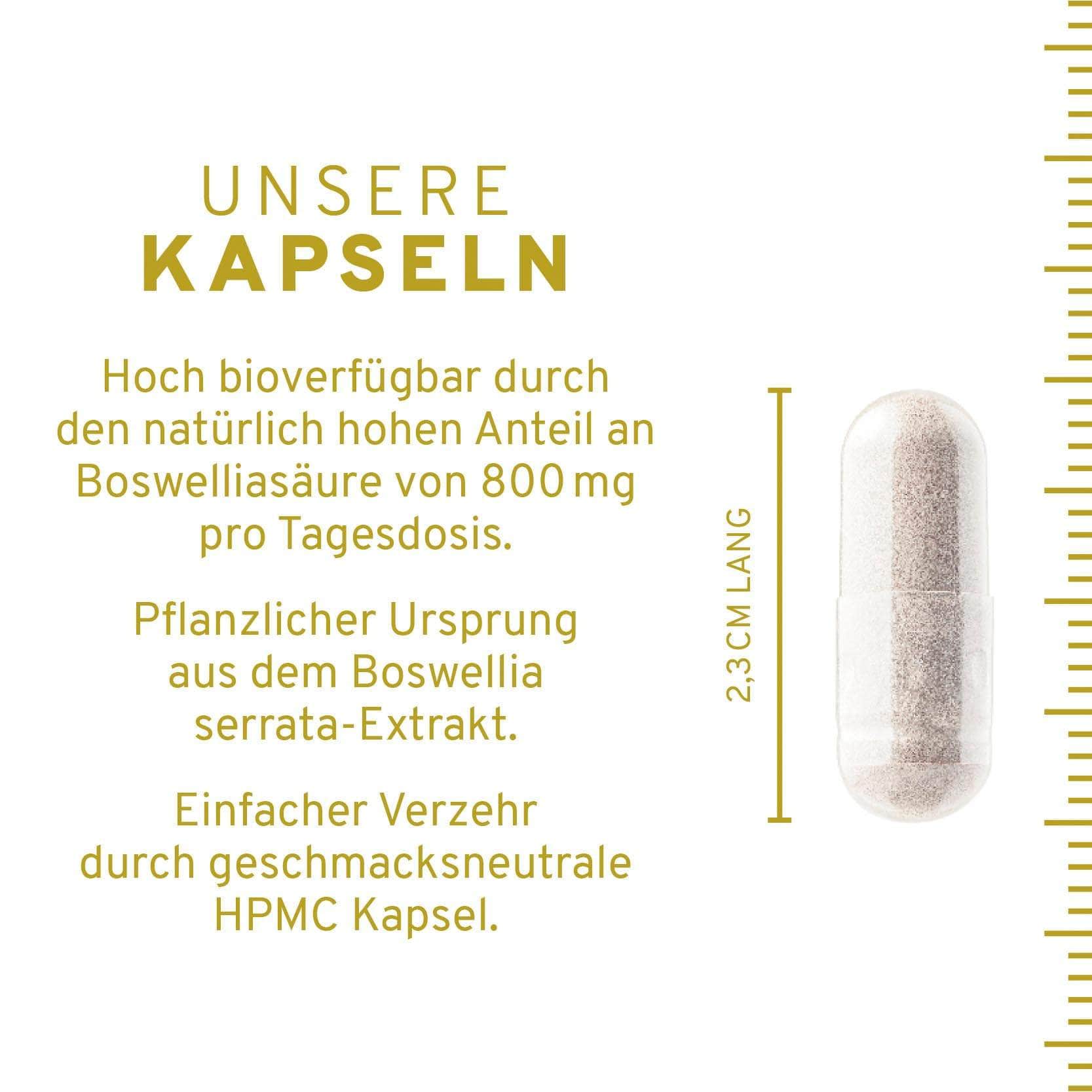 InnoNature Kapseln 1x 120 Kapseln Boswelliasäure: Weihrauch Kapseln