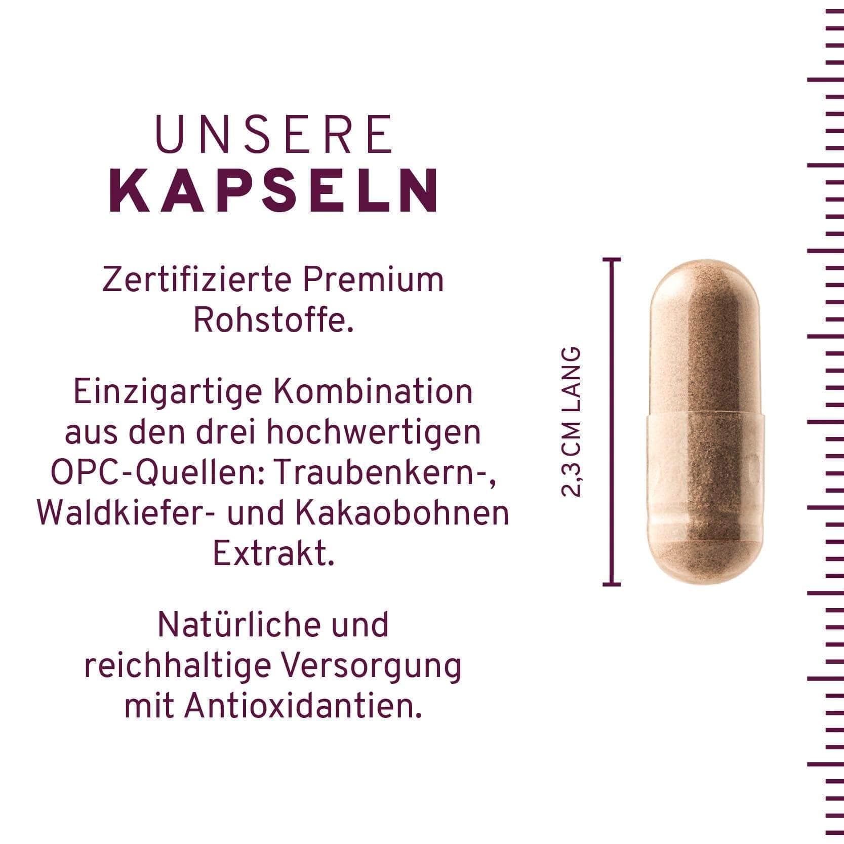 InnoNature Kapseln 1x Monatsvorrat (60 Kapseln) OPC KOMPLEX Kapseln