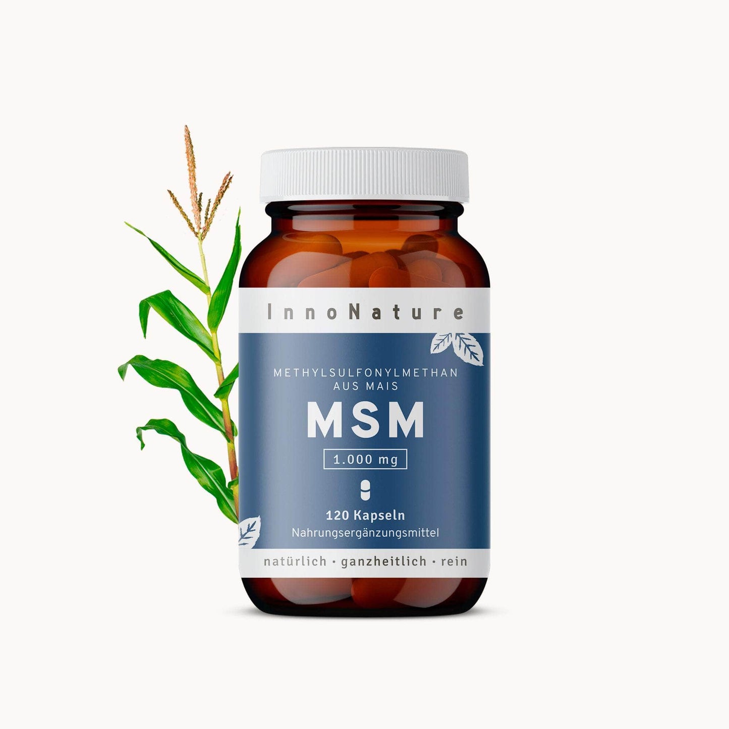 InnoNature Kapseln 1x Zweimonatsvorrat (120 Kapseln) MSM Kapseln