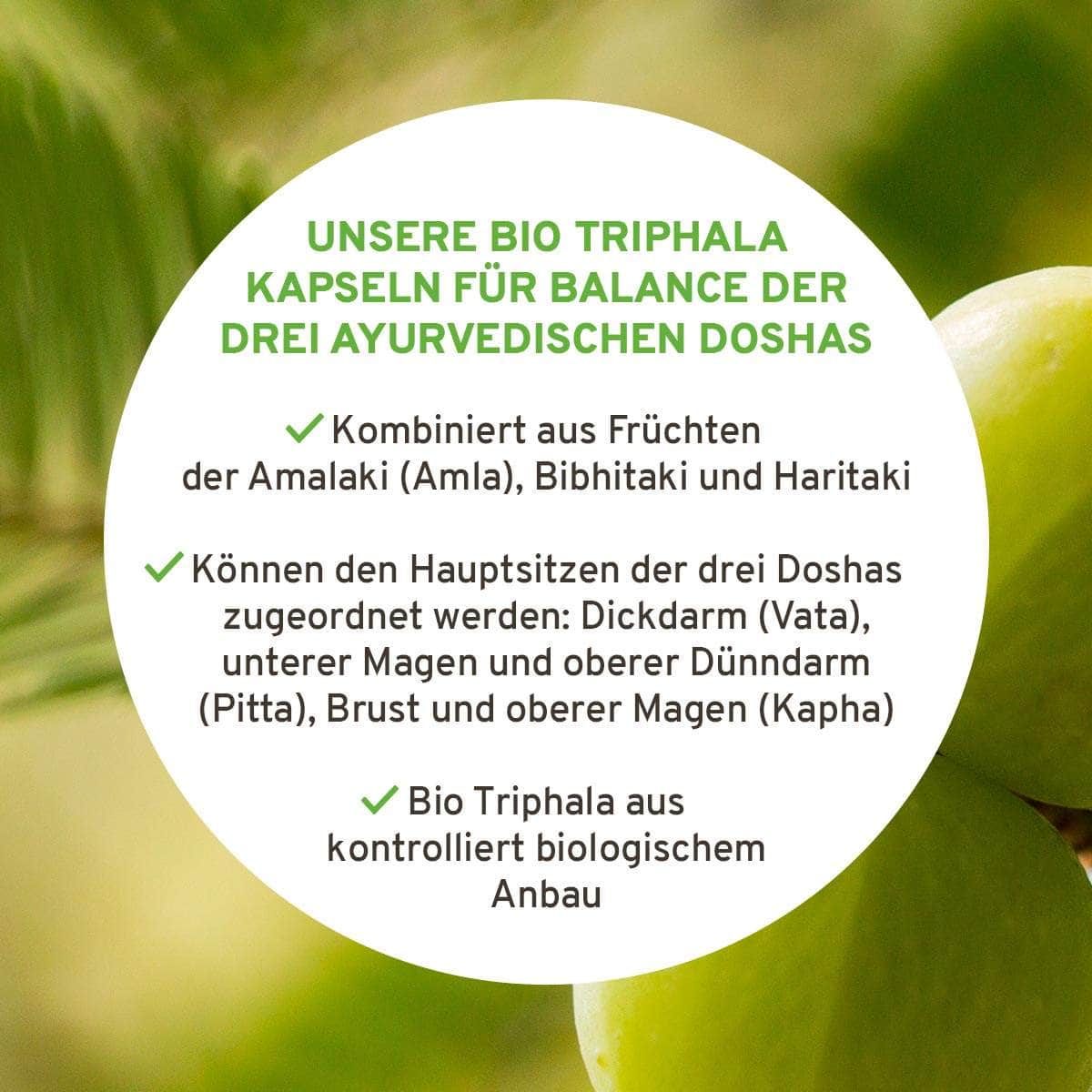 InnoNature Kapseln Bio Triphala Kapseln