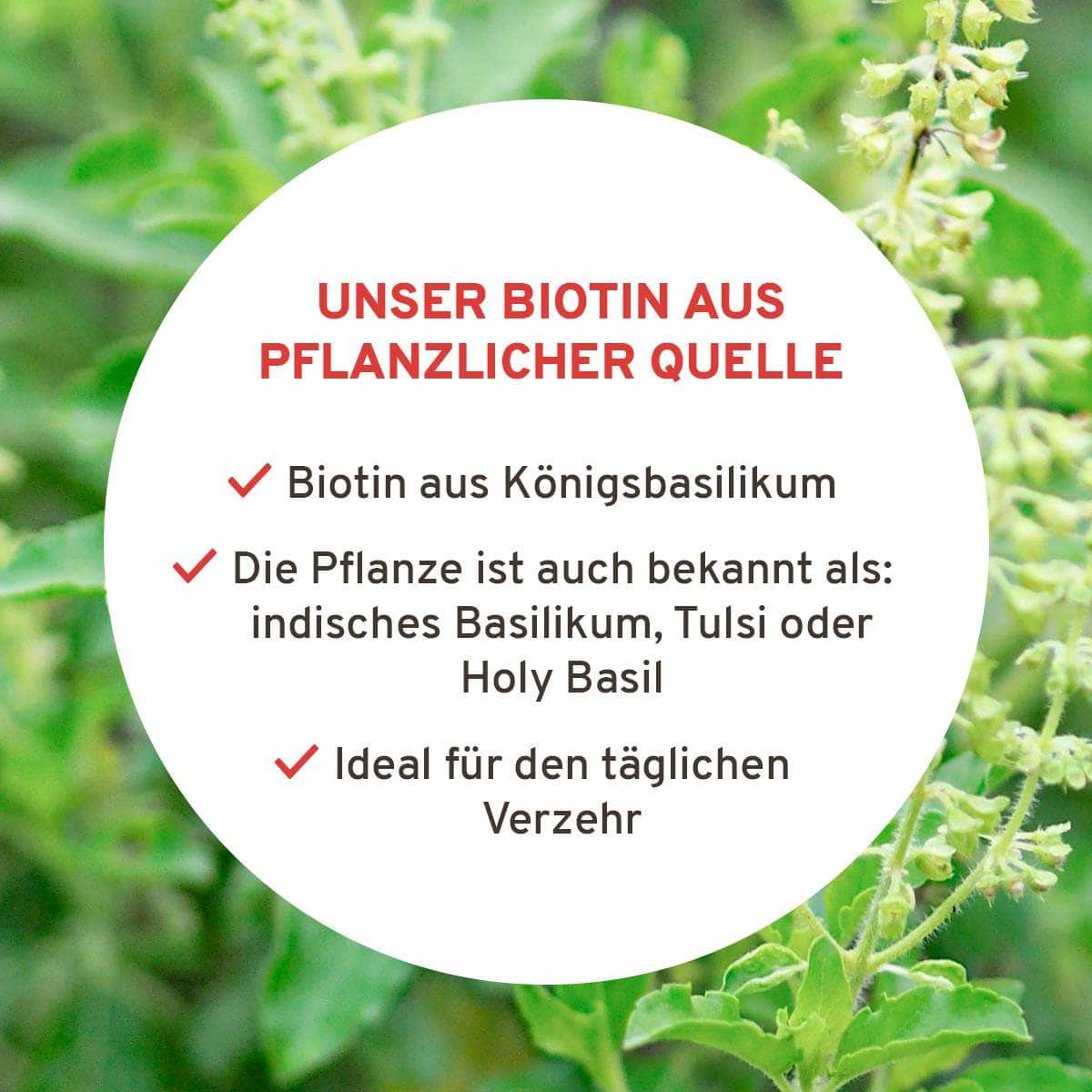InnoNature Kapseln Biotin Kapseln: Vitamin B7 aus Königsbasilikum
