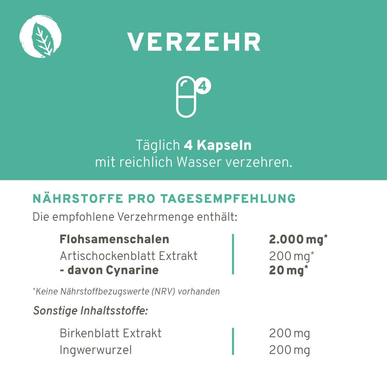 InnoNature Kapseln Flohsamenschalen Plus Kapseln