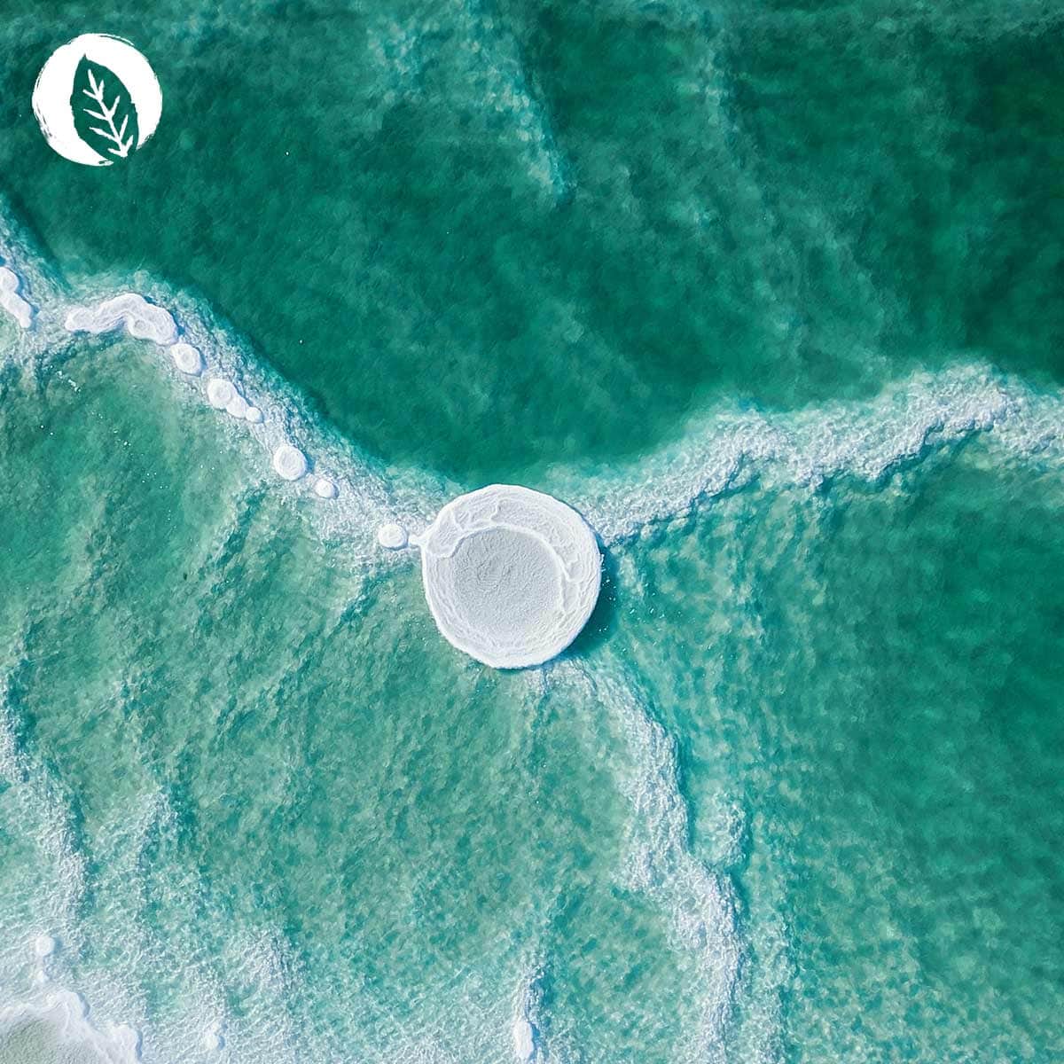 InnoNature Kapseln Magnesium Kapseln: Natürliches Magnesium aus dem Toten Meer + Meersalat