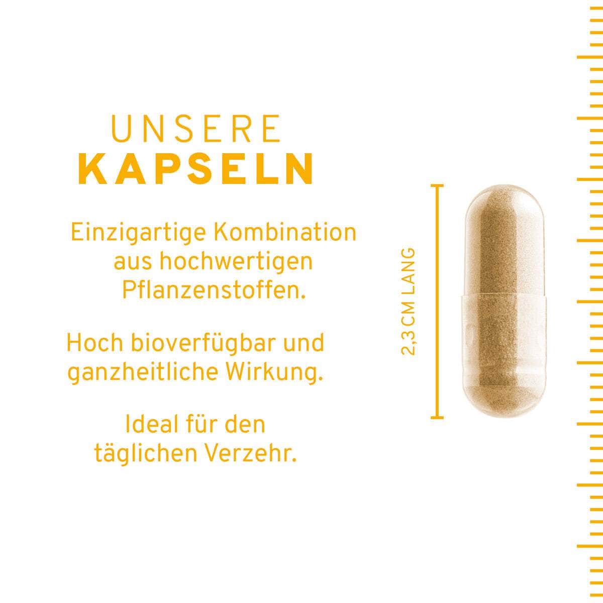 InnoNature Kapseln Stoffwechsel Plus Kapseln