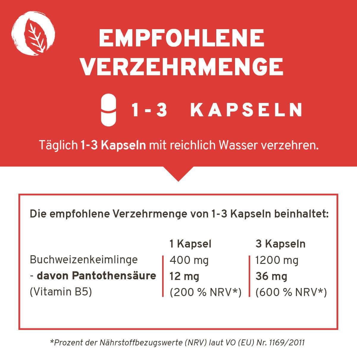 InnoNature Kapseln Vitamin B5 Kapseln: Buchweizenkeimlinge