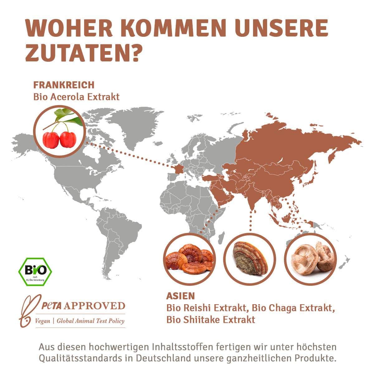 InnoNature Kapseln Bio Vital* Pilz Kapseln: Reishi, Chaga, Shiitake und Acerola