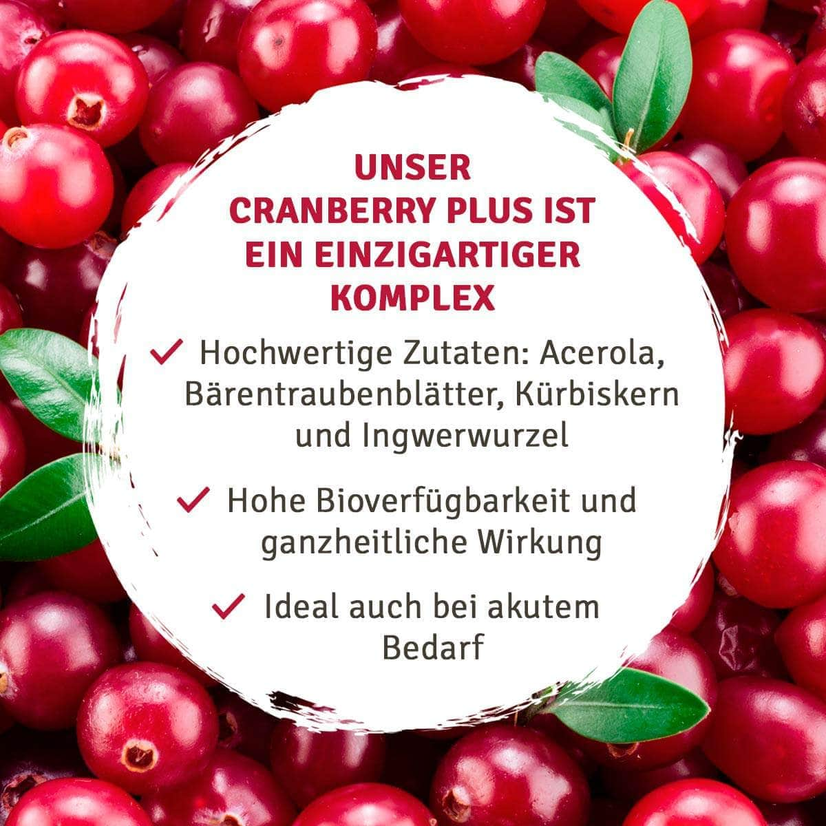 InnoNature Kapseln Cranberry Plus Kapseln: Cranberry + Acerola + Bärentraubenblätter + Kürbiskern + Ingwer