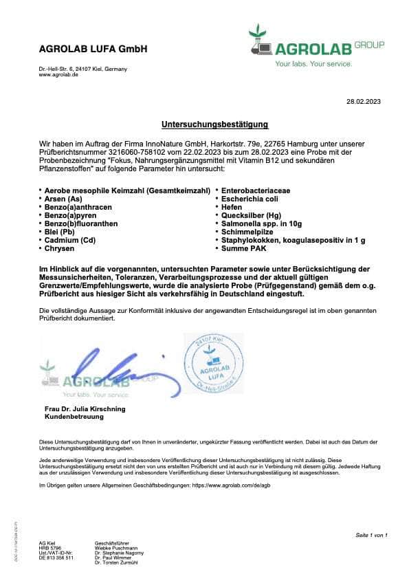 InnoNature Kapseln Fokus Kapseln: Grüner Tee, Ginseng, Ginkgo Biloba, Gotu Kola, Vitamin B12