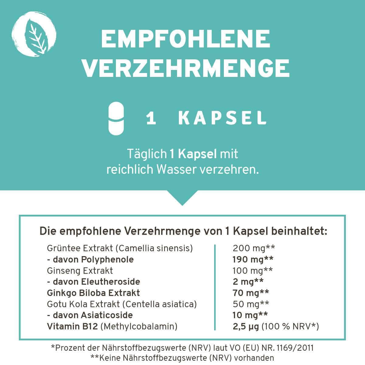 InnoNature Kapseln Fokus Kapseln: Grüner Tee, Ginseng, Ginko Biloba, Gotu Kola, Vitamin B12