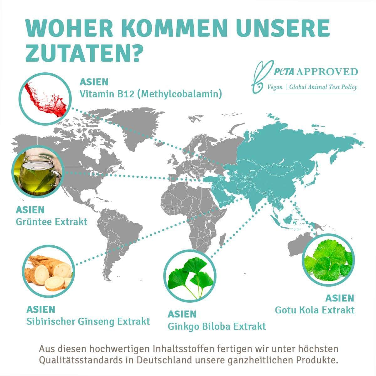 InnoNature Kapseln Fokus Kapseln: Grüner Tee, Ginseng, Ginko Biloba, Gotu Kola, Vitamin B12