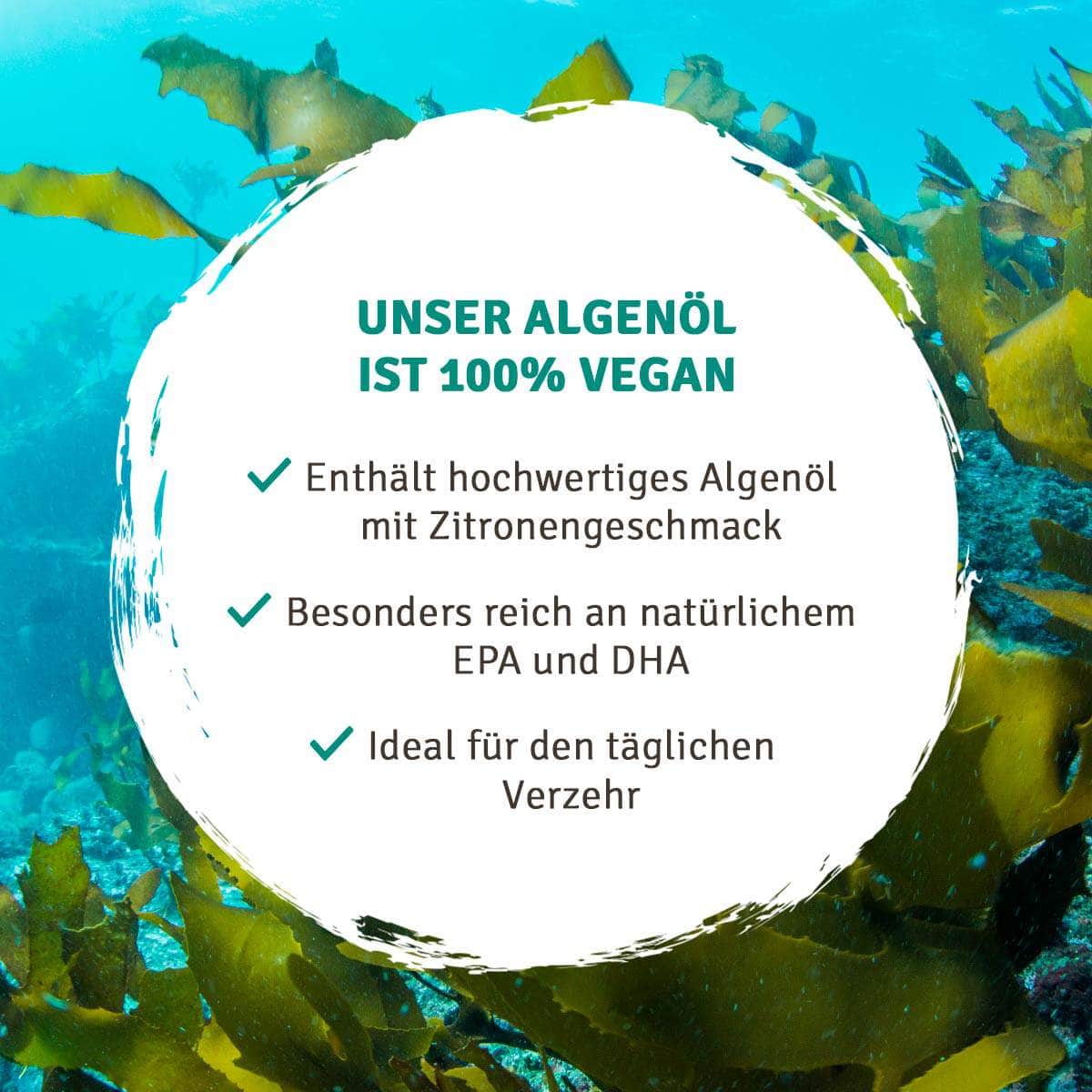 InnoNature Kapseln Omega 3 Algenöl