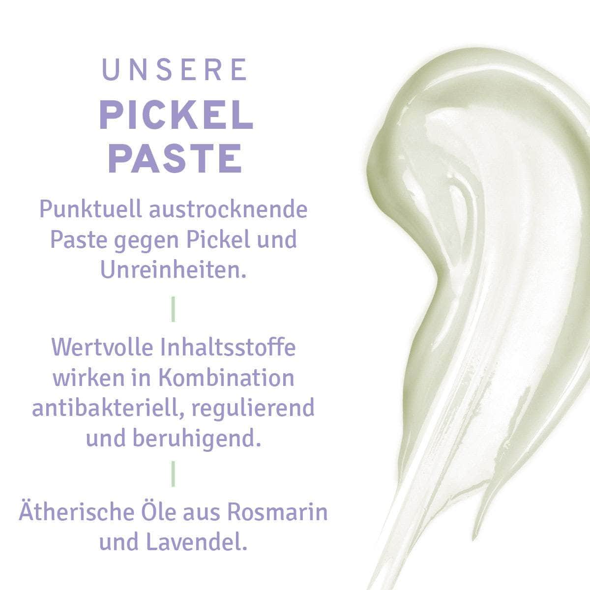 InnoNature Paste Pickelpaste
