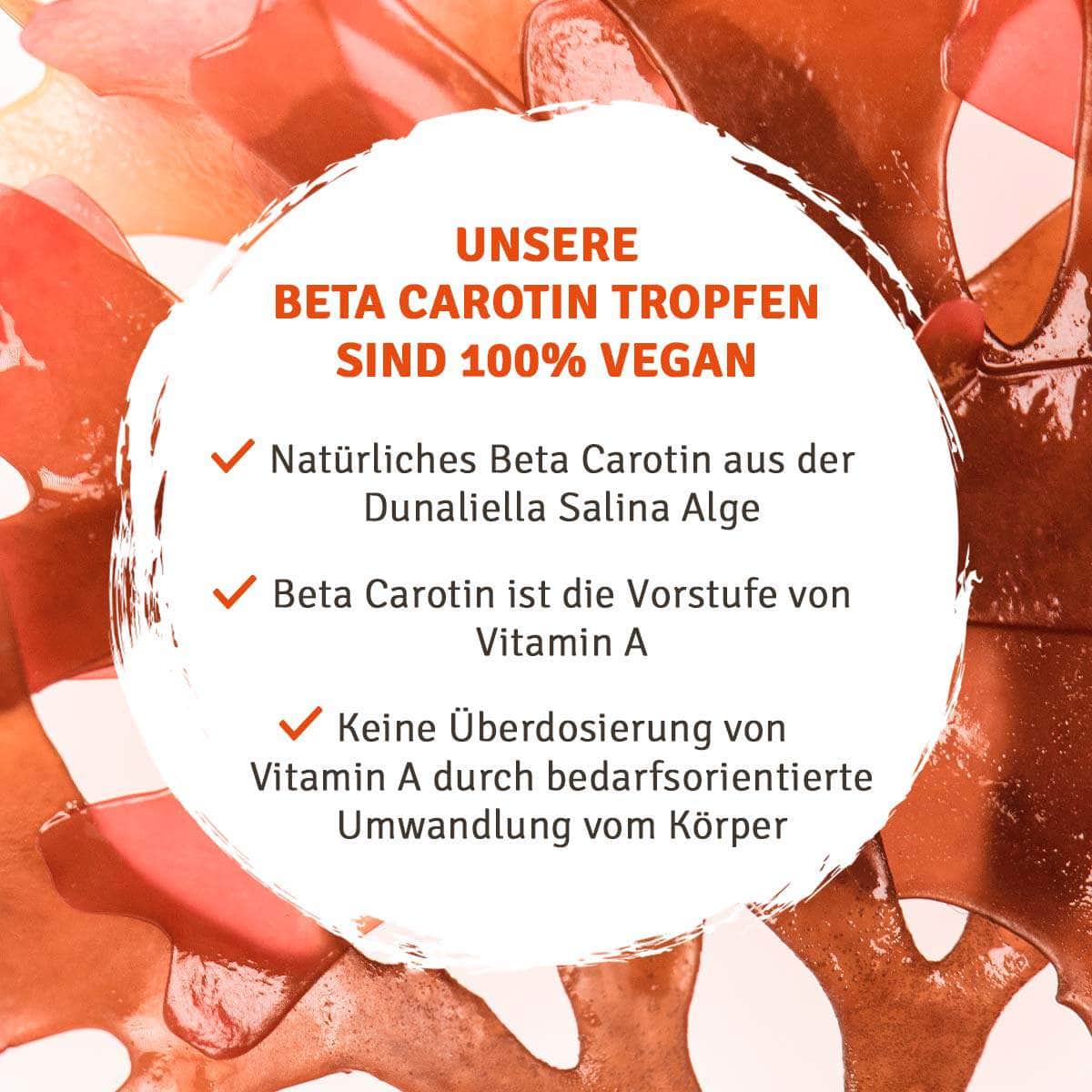InnoNature Tropfen Beta Carotin Tropfen