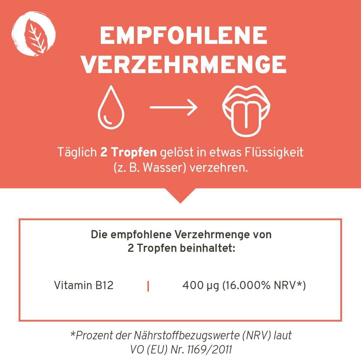 InnoNature Tropfen Methylcobalamin: Vitamin B12 Tropfen