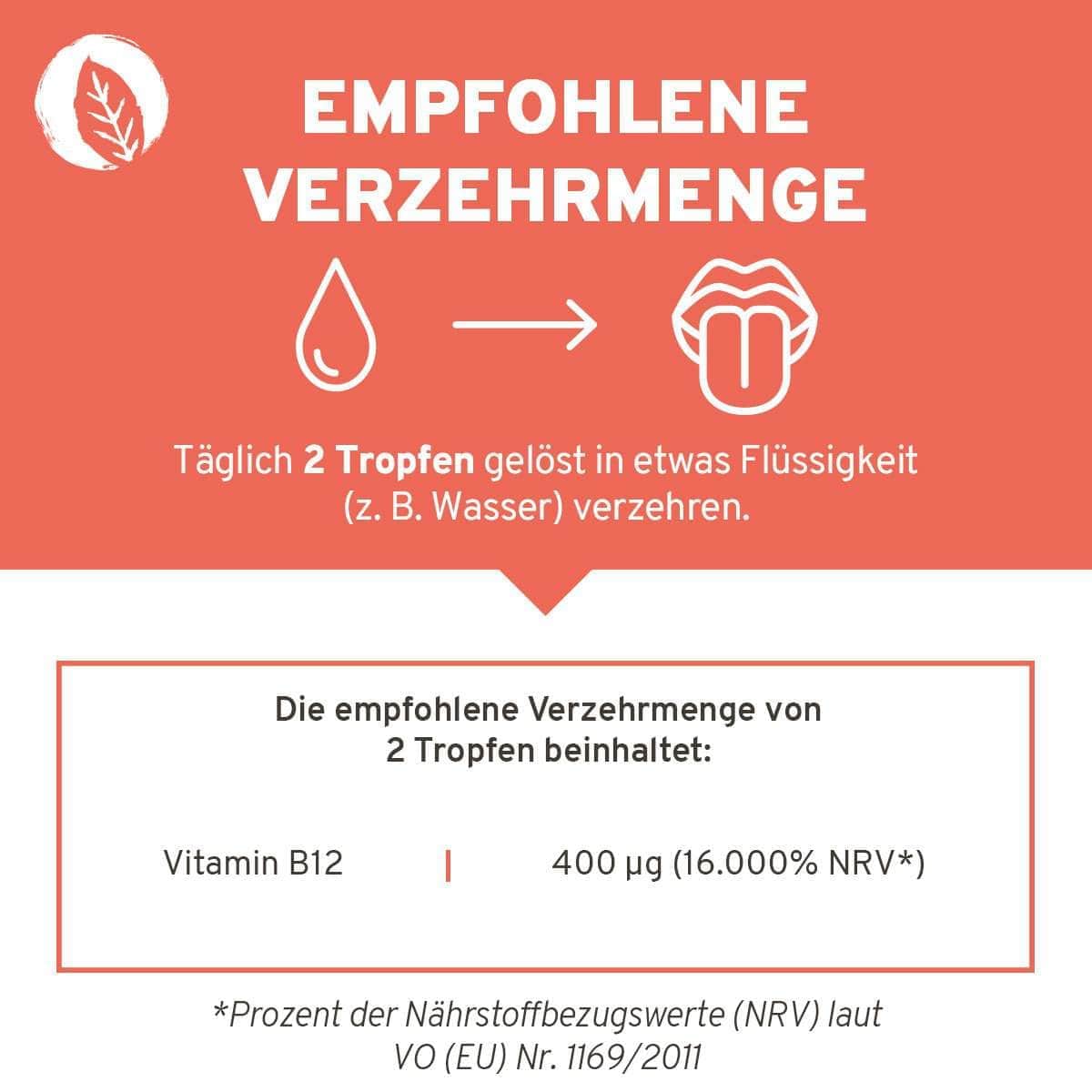 InnoNature Tropfen Methylcobalamin: Vitamin B12 Tropfen