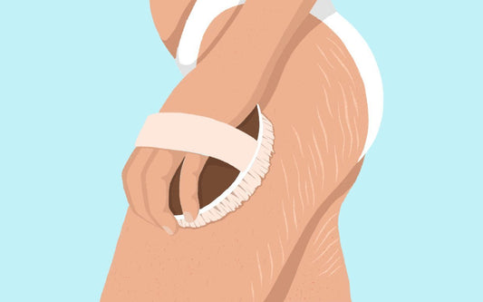 Bindegewebe – viel mehr als straffe Haut