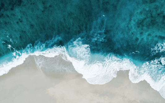 Omega 3 – Abbildung Meer