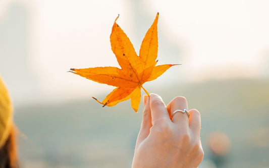Hand mit silbernem Ring hält ein Ahornblatt in die Luft.