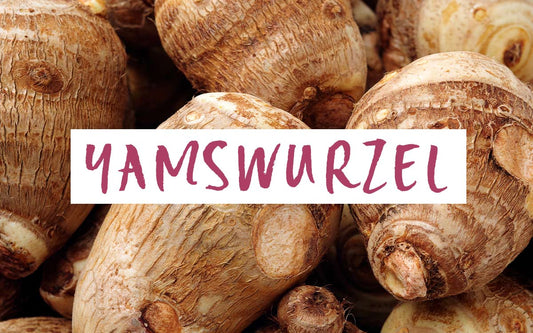 Das Wort "Yamswurzel" vor einem Hintergrund aus Yamswurzelknollen
