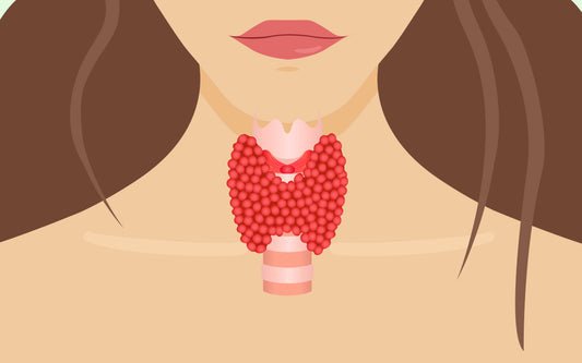 Illustration einer Frau und ihrer Schilddrüse