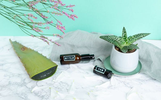 2 Fläschchen mit selbstgemachter Naturkosmetik liegen auf weißem Untergrund, dekoriert mit Aloevera-Pflanzen