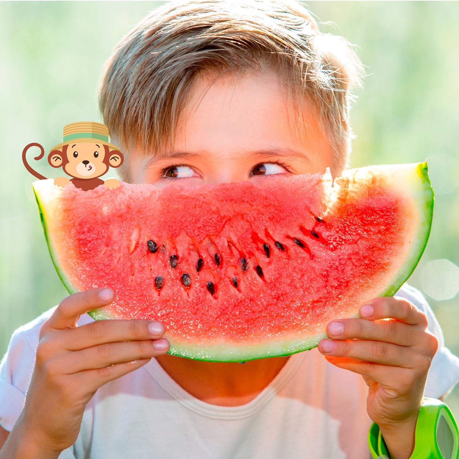 KIDS Neuheiten