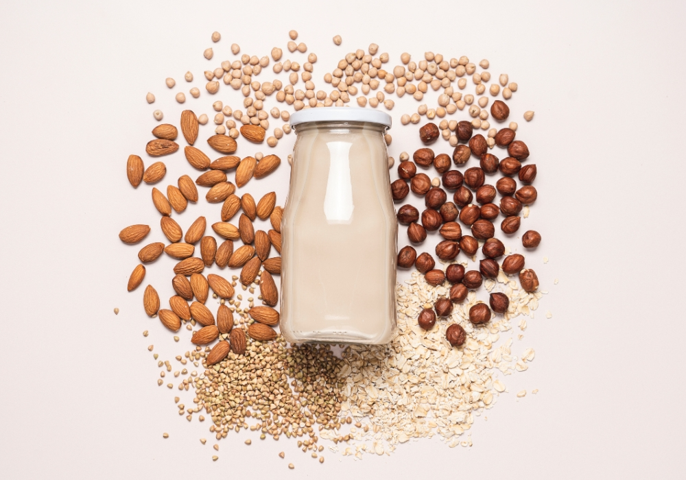 Nüsse, Hülsenfrüchte, Pflanzenmilch und andere Proteinquellen