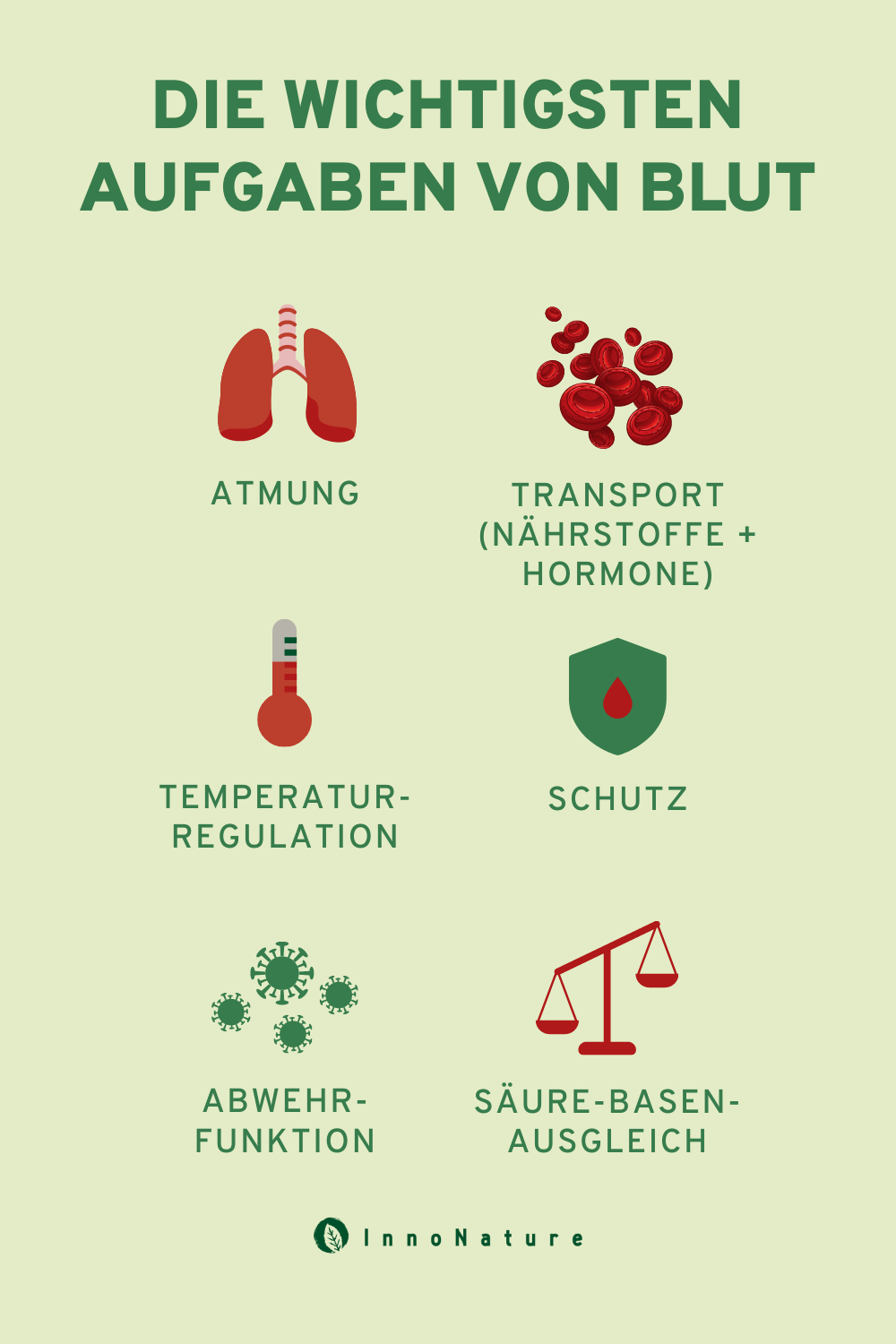 Grafik: die wichtigsten Aufgaben von Blut
