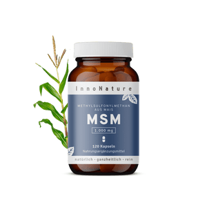 MSM Kapseln
