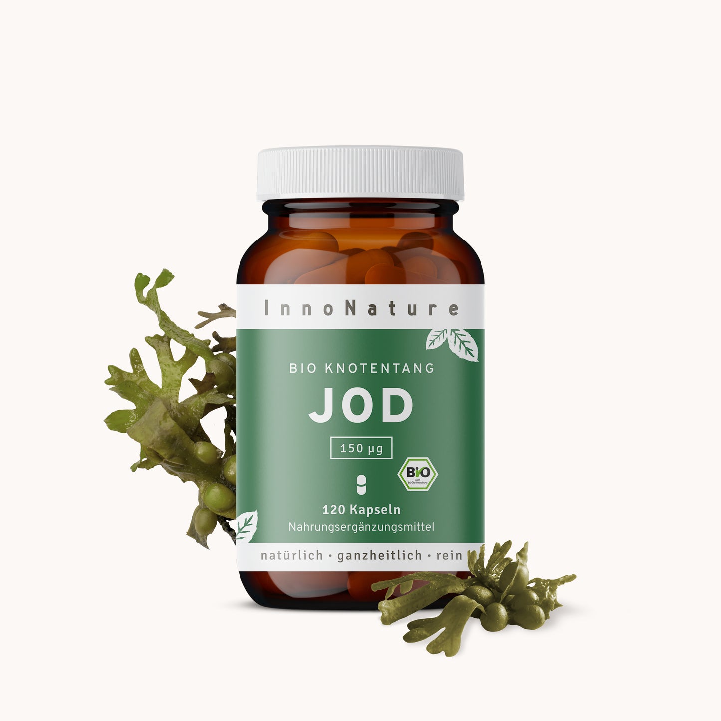 Bio Jod Kapseln: Knotentang