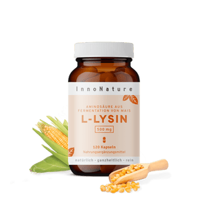 L-Lysin Kapseln