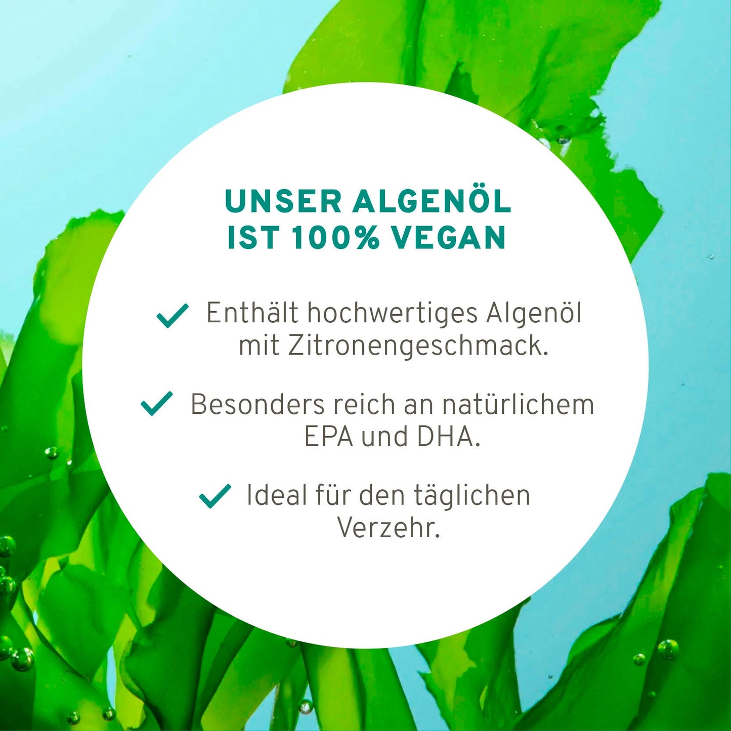 Omega 3 Algenöl
