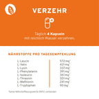 Aminosäuren Komplex Kapseln