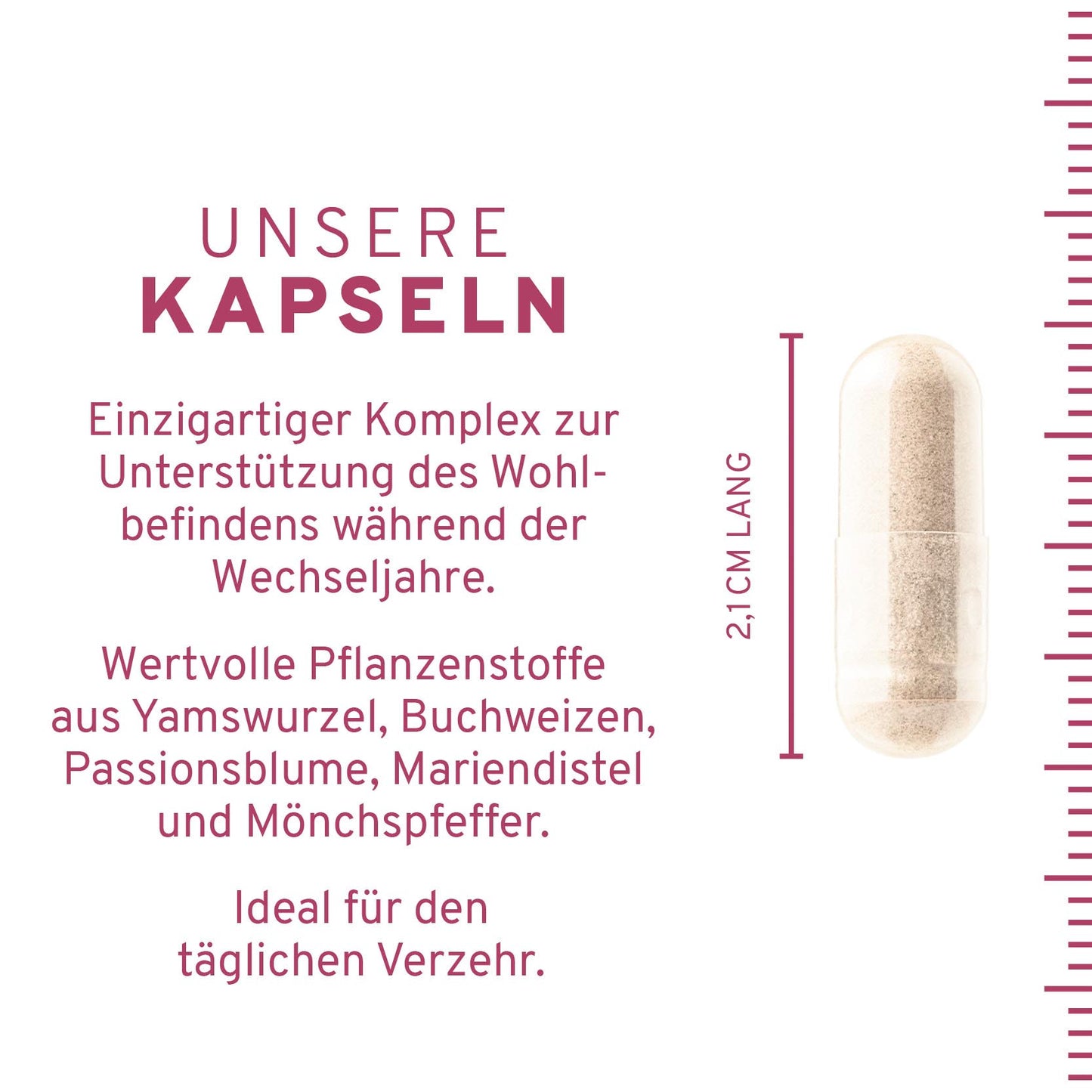 Meno Balance Kapseln