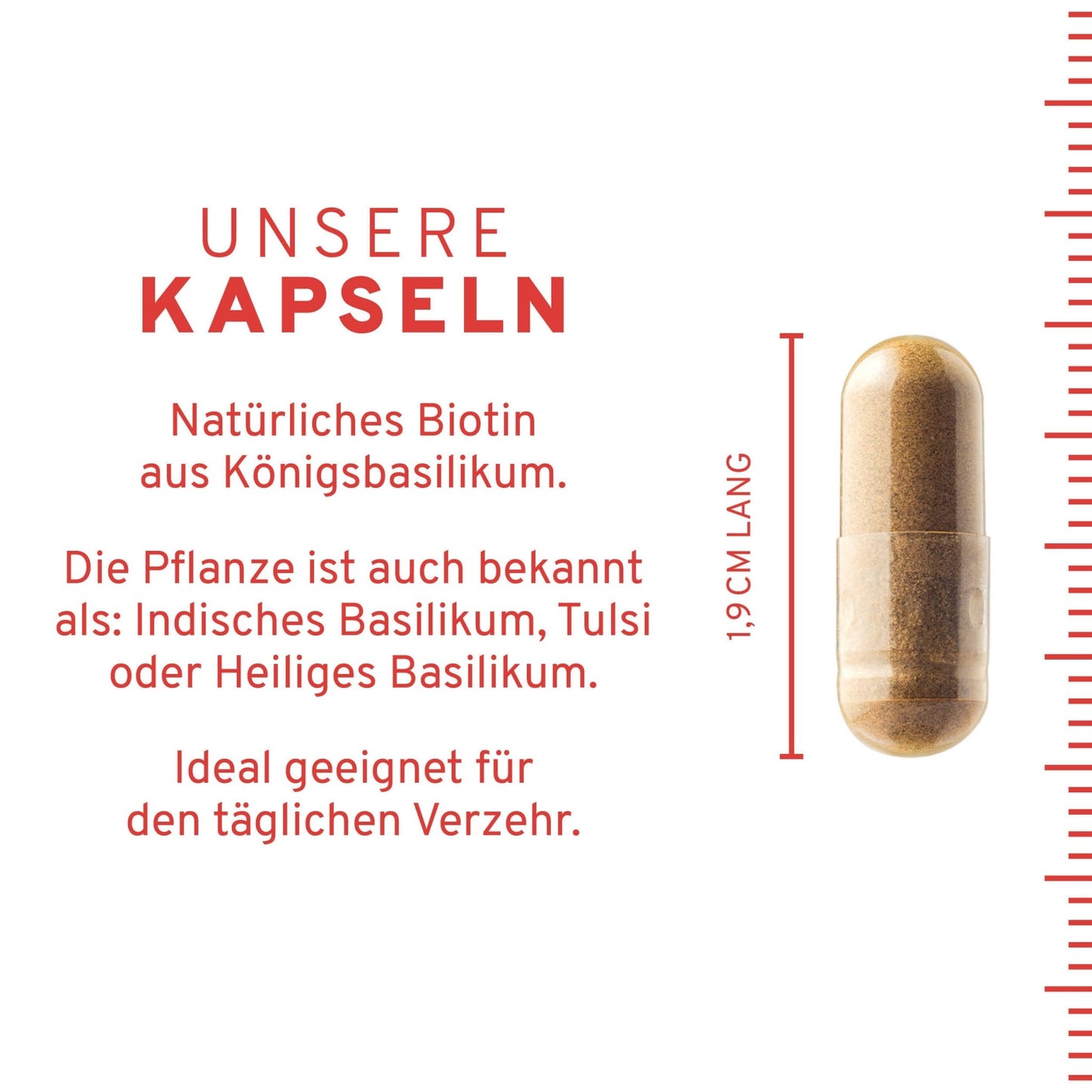 Biotin Kapseln
