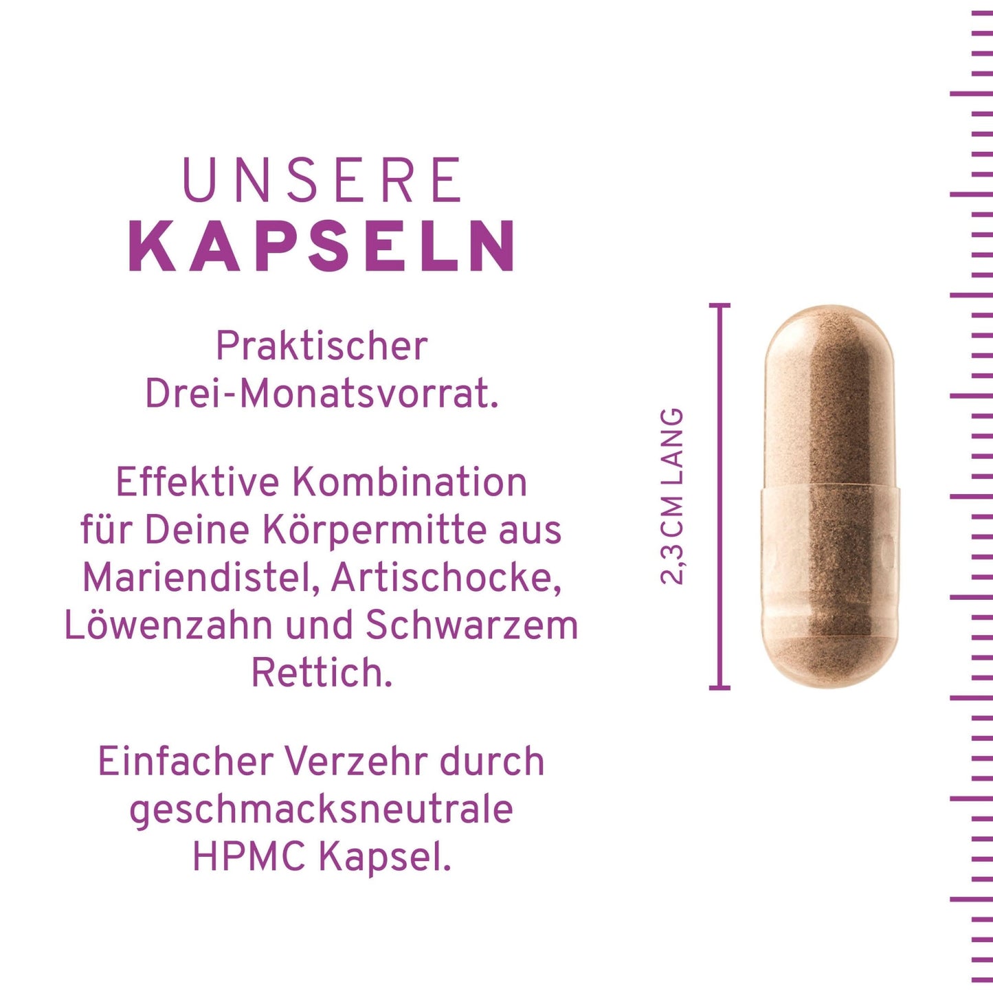 Mariendistel Plus Kapseln