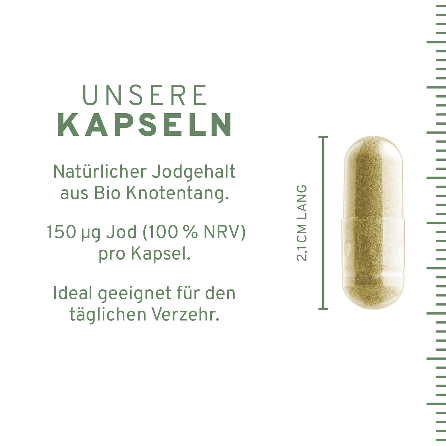Bio Jod Kapseln: Knotentang