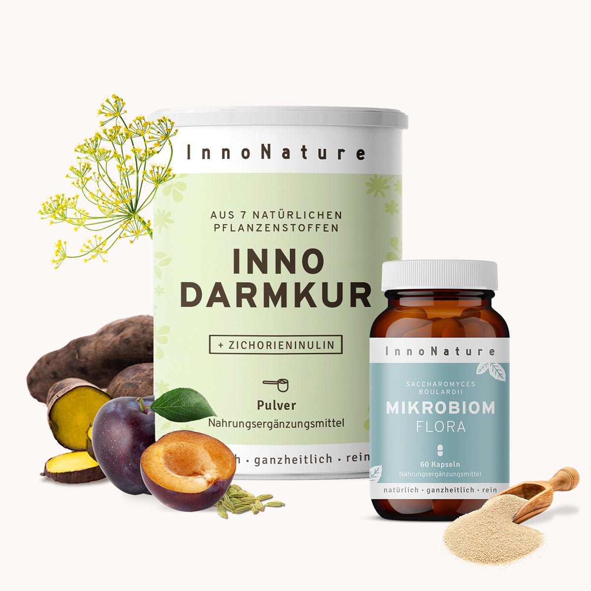 Darmkur-Starter-Set