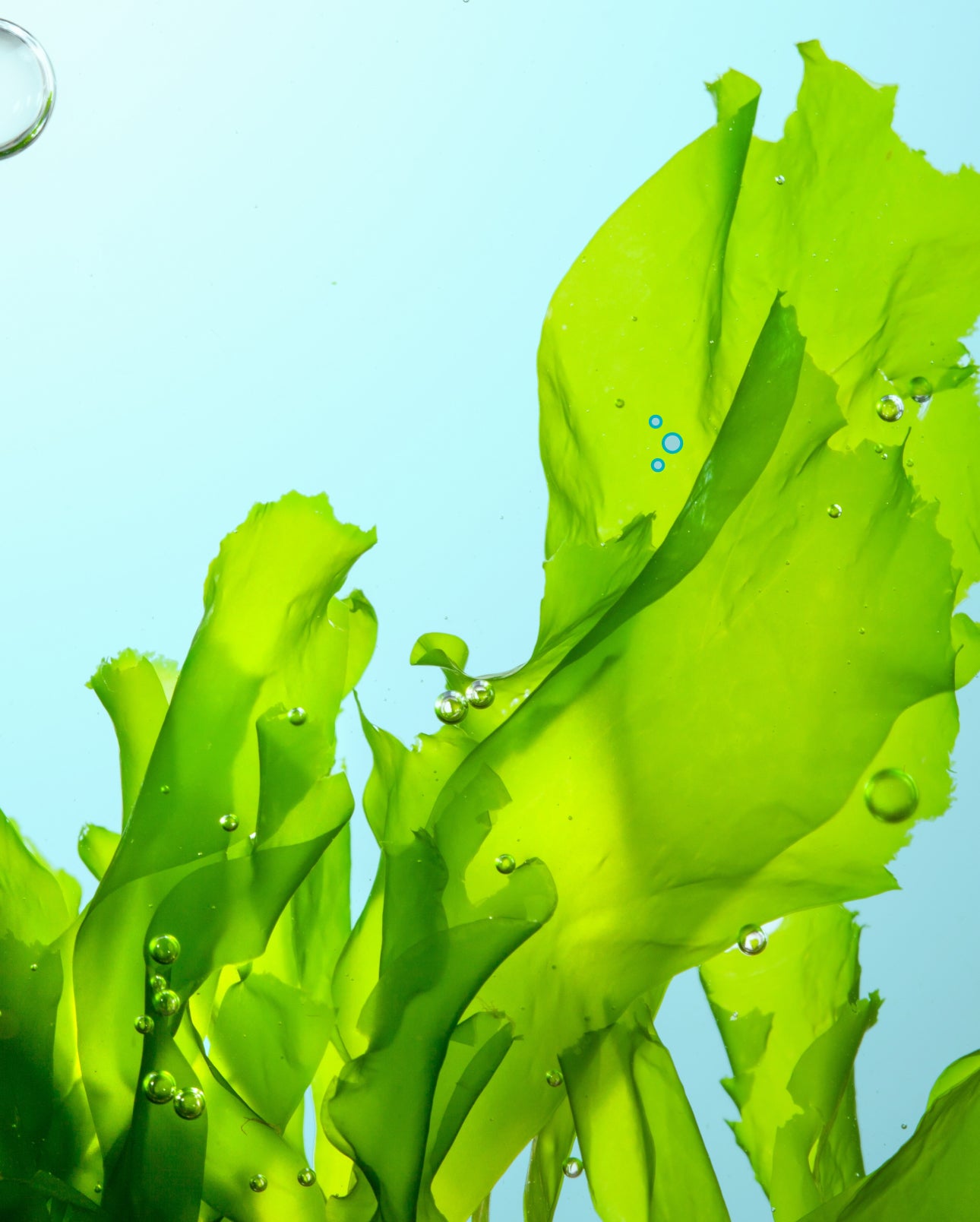 Innonature mobile Banner