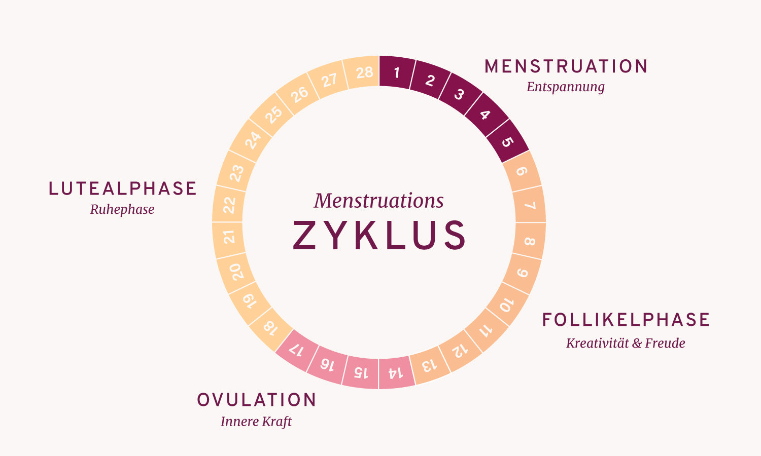 Der weibliche Zyklus - Das solltest Du ber die Zyklusphasen wissen InnoNature Der weibliche Zyklus - Das solltest Du ber die Zyklusphasen wissen InnoNature