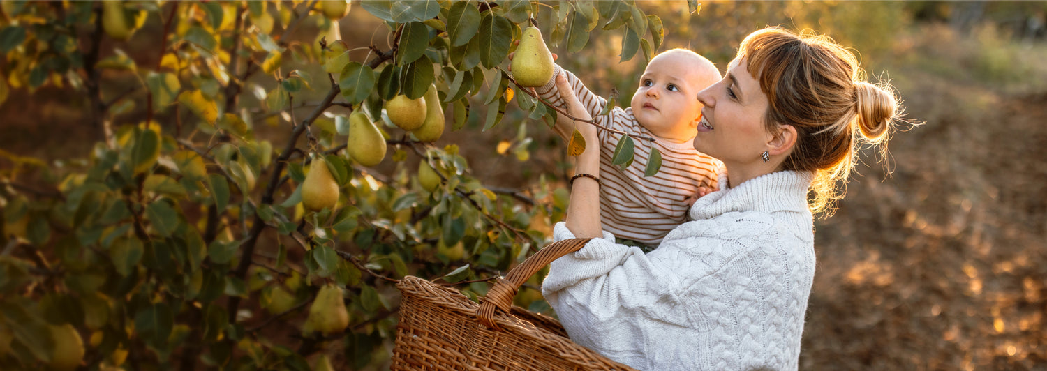 Innonature tablet Banner