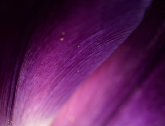 InnoNature Inno Darmkur 3 Tage Probierpackung