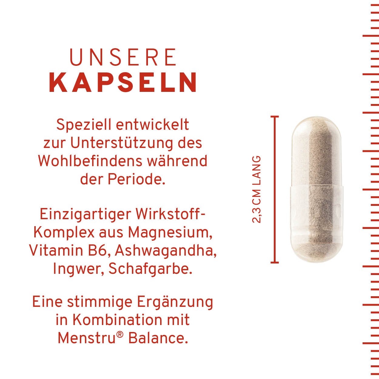 Period Support 30 Kapseln