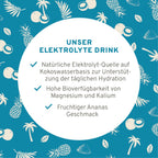 Elektrolyte Drink 225g