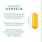 Phosphatidylcholin 60 Kapseln