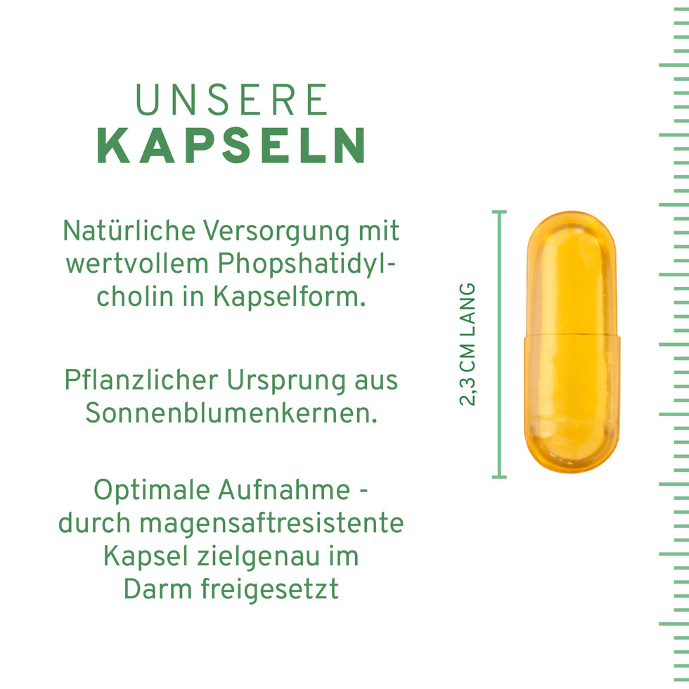 Phosphatidylcholin 60 Kapseln